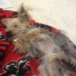 Meet your Posher, 999